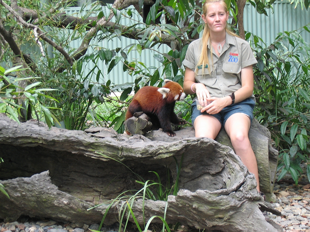 CairnsTC177 Cairns Tropical Zoo.jpg